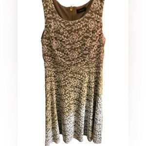 R&M Richards Lace Dress Champagne Fit & Flare Sleeveless Elegant